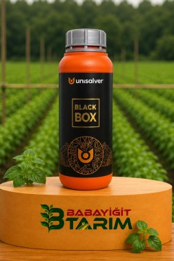 Black Box- Köklendirici (1LT)