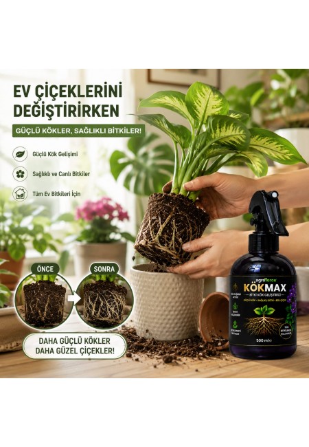 AGROFORCE KÖKMAX Ev Bitkileri İçin Kök Güçlendirici ve Çiçek Coşturucu Sprey