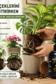 AGROFORCE KÖKMAX Ev Bitkileri İçin Kök Güçlendirici ve Çiçek Coşturucu Sprey