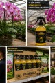 AGROFORCE VİTAMİNMAX Yaprak Bakım Vitamini Spreyi 500 ml – Ev Bitkileri, Orkide, Monstera, Barış Çiçeği ve Tüm Süs